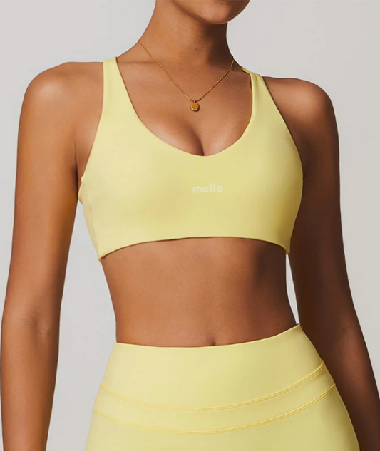 Brianna Sports Bra